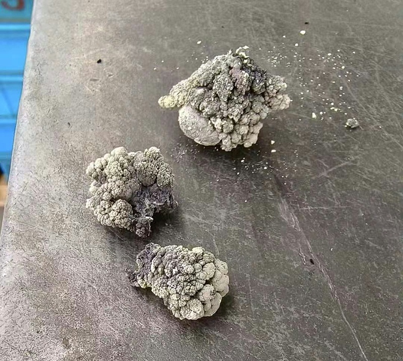 微信圖片_20250217132107